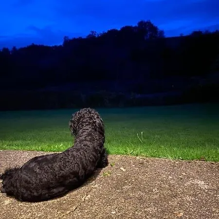 Holiday home The Lodge-cozy And Serene Cavan