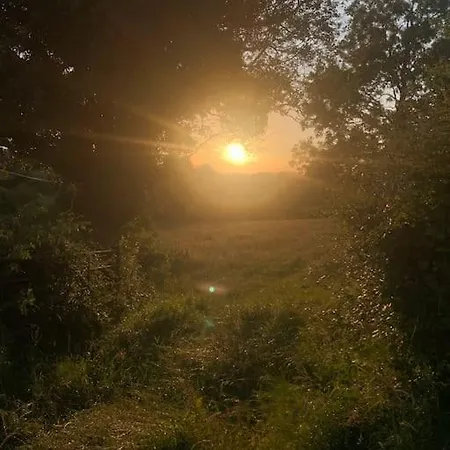 The Lodge-cozy And Serene * Cavan