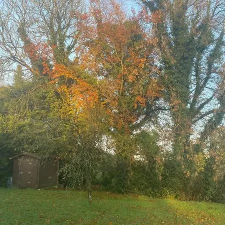 Holiday home The Lodge-cozy And Serene