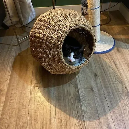 The Lodge-cozy And Serene Holiday home Cavan