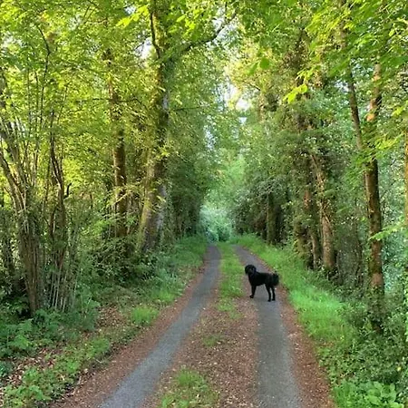 Holiday home The Lodge-cozy And Serene