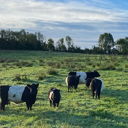 The Lodge-cozy And Serene *
